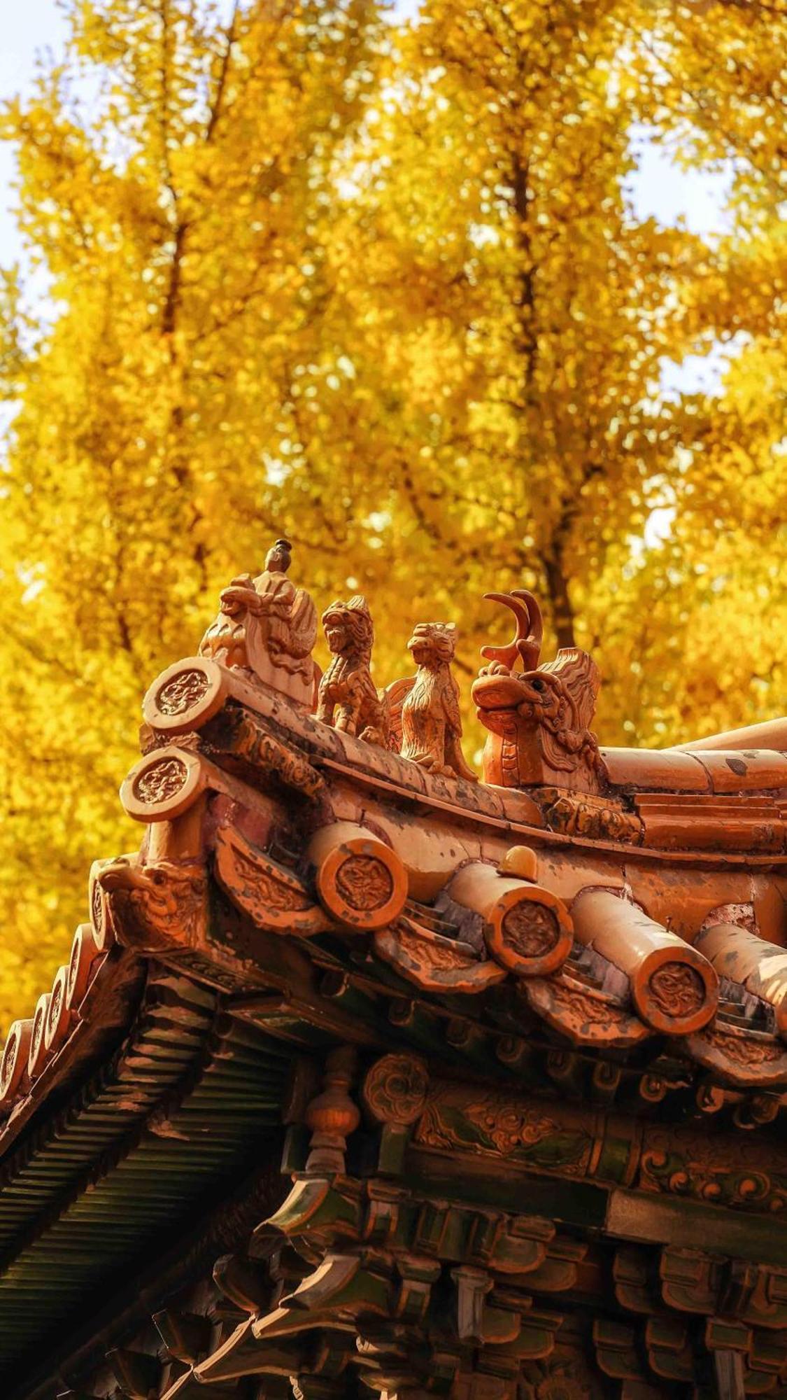East Sacred Hotel--Very Near Beijing Tiananmen Square ,The Forbidden City,The Temple Of Heaven ,3 Minutes' Walk To Wangfujing Subway ,Located In The Center Of Beijing, Many Shopping Malls Around,Newly Renovated Hotel-Able To Receive Foreign Guests Exterior photo The roof of the temple